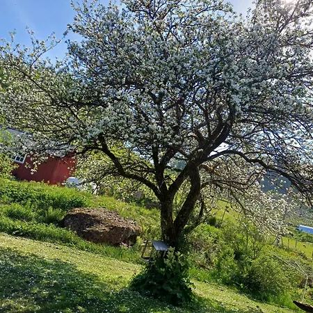 Overnating I アパート Sauda