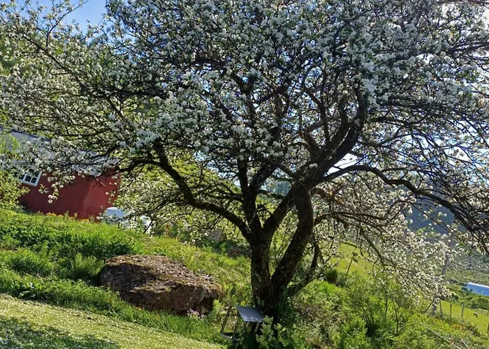 Overnating I Appartement Sauda